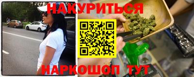 стаф Владимир