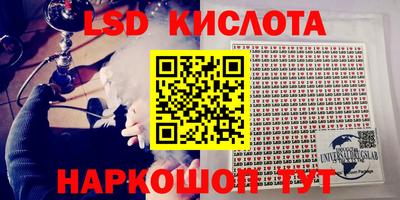 стаф Владимир