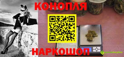 стаф Владимир