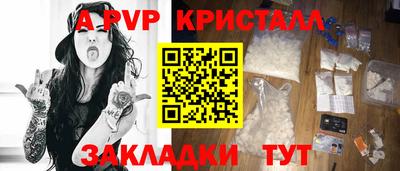 стаф Владимир