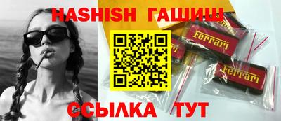 стаф Владимир