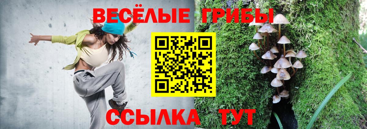 Галлюциногенные грибы Magic Shrooms Ачинск