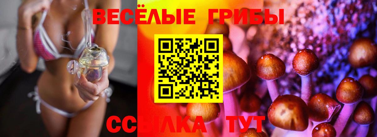 Галлюциногенные грибы MAGIC MUSHROOMS  Вход с VPN  Ачинск 
