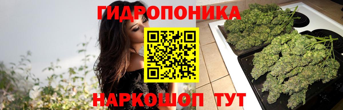 Шишки марихуана конопля  МАРИХУАНА ГИДРОПОН  Вход с VPN  Ачинск  МАРИХУАНА White Widow  Бошки марихуана планчик 